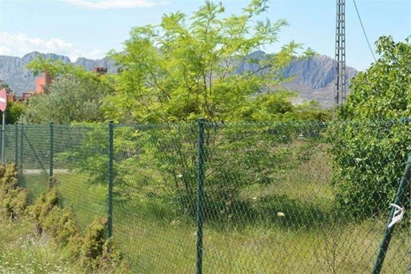 Pedreguer,Alicante,España,Casas,15190