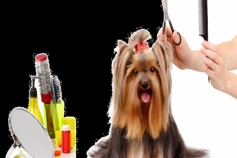 Benidorm,Alicante,España,Local comercial,15203