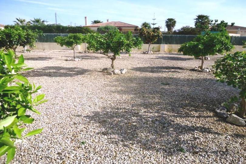 Catral,Alicante,España,3 Habitaciones Habitaciones,2 BañosBaños,Fincas-Villas,2275