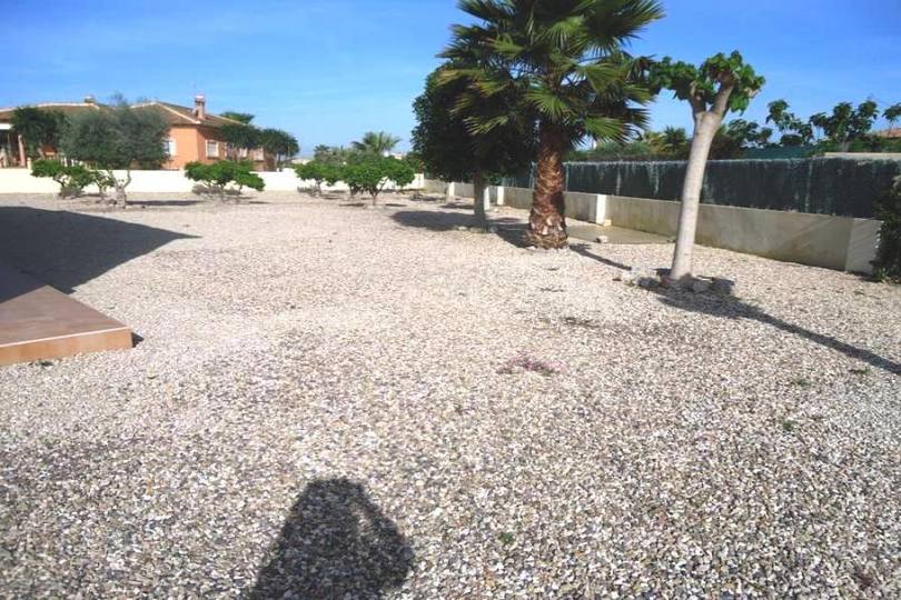 Catral,Alicante,España,3 Habitaciones Habitaciones,2 BañosBaños,Fincas-Villas,2275