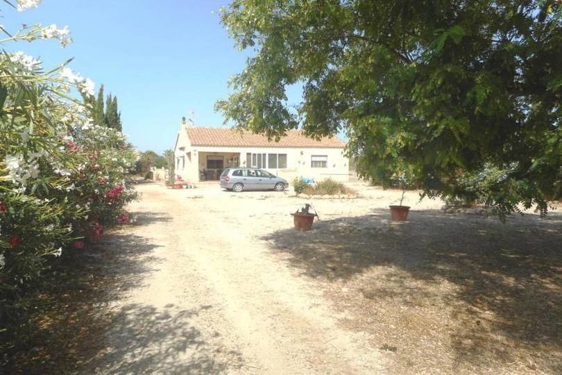 Albatera,Alicante,España,3 Habitaciones Habitaciones,2 BañosBaños,Fincas-Villas,2285