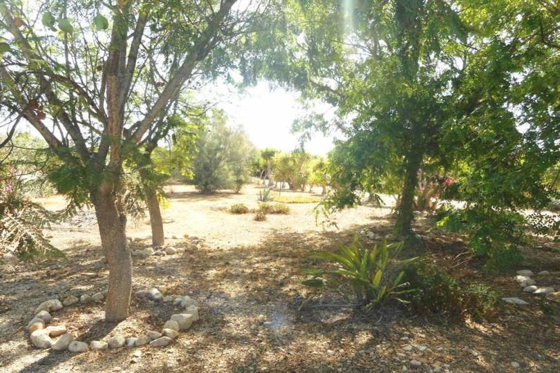 Albatera,Alicante,España,3 Habitaciones Habitaciones,2 BañosBaños,Fincas-Villas,2285