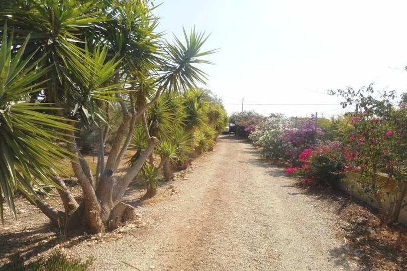 Albatera,Alicante,España,3 Habitaciones Habitaciones,2 BañosBaños,Fincas-Villas,2285