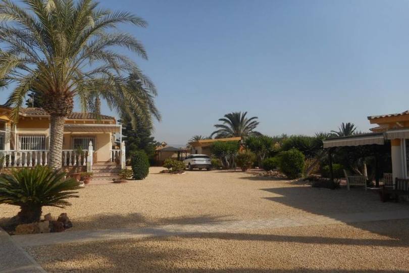 Catral,Alicante,España,4 Habitaciones Habitaciones,3 BañosBaños,Fincas-Villas,2287