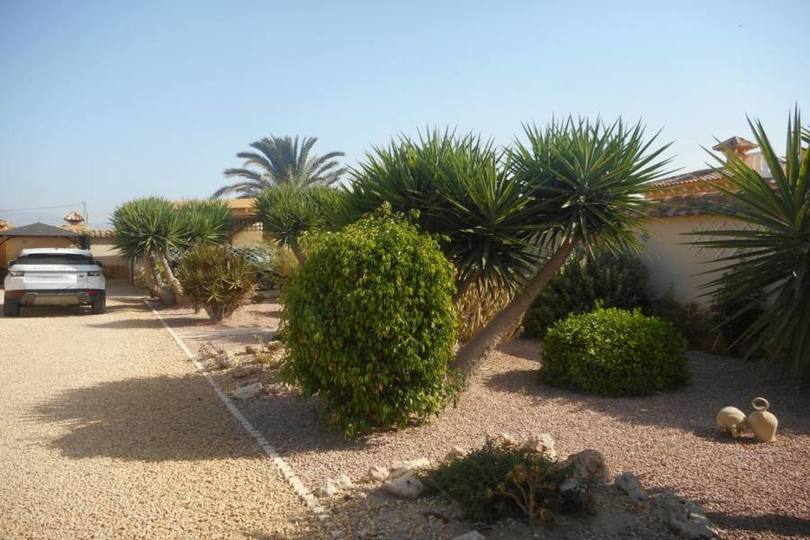 Catral,Alicante,España,4 Habitaciones Habitaciones,3 BañosBaños,Fincas-Villas,2287