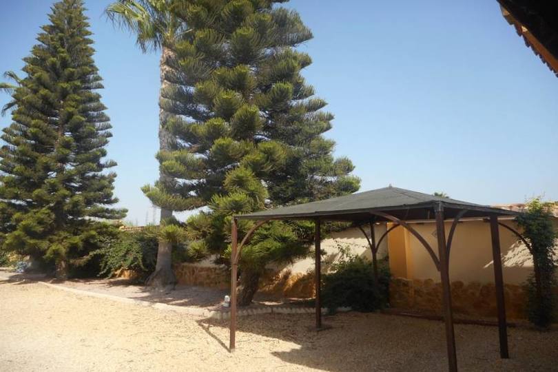 Catral,Alicante,España,4 Habitaciones Habitaciones,3 BañosBaños,Fincas-Villas,2287