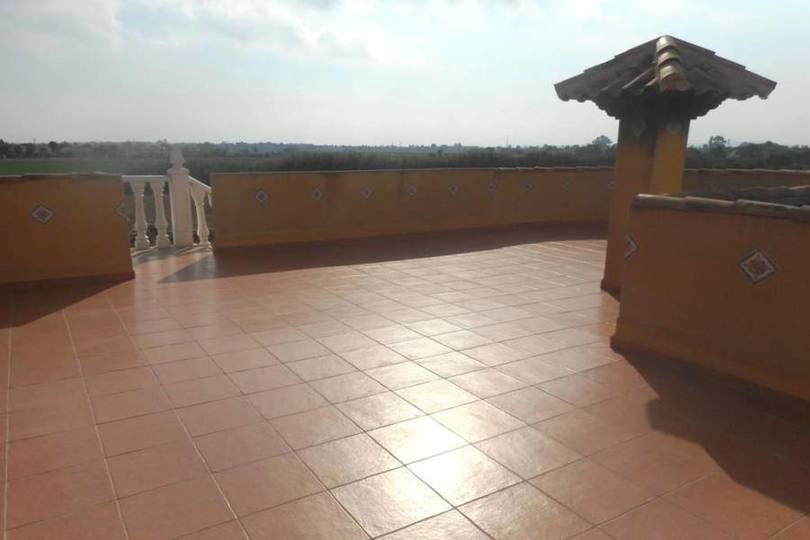 Catral,Alicante,España,4 Habitaciones Habitaciones,3 BañosBaños,Fincas-Villas,2293