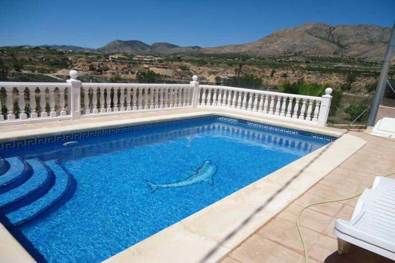Abanilla,Murcia,España,5 Habitaciones Habitaciones,3 BañosBaños,Fincas-Villas,2314