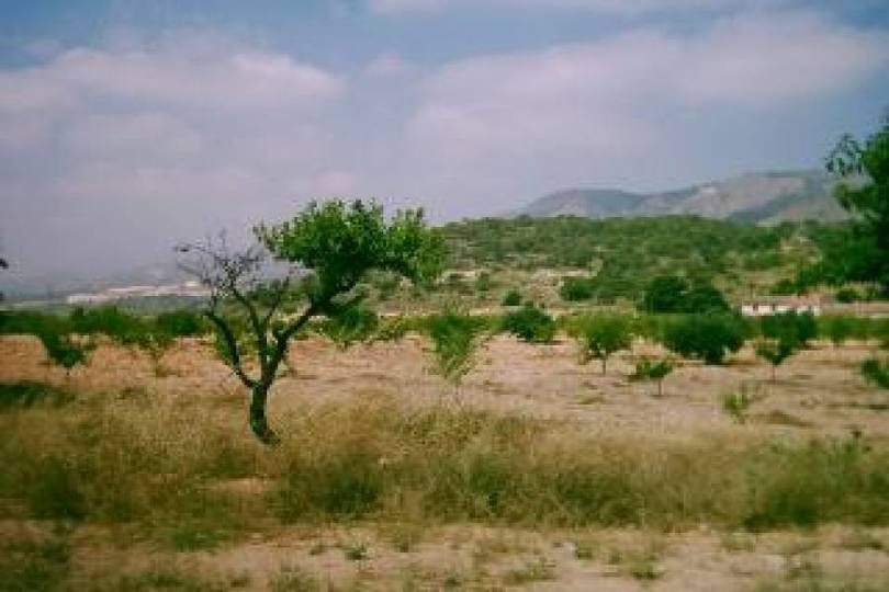 Abanilla,Murcia,España,3 Habitaciones Habitaciones,2 BañosBaños,Fincas-Villas,2322