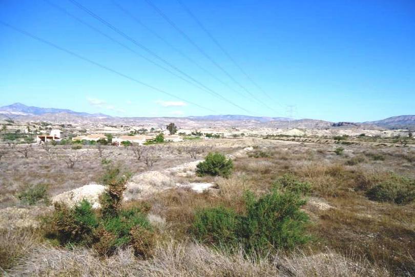 Abanilla,Murcia,España,5 Habitaciones Habitaciones,3 BañosBaños,Fincas-Villas,2328