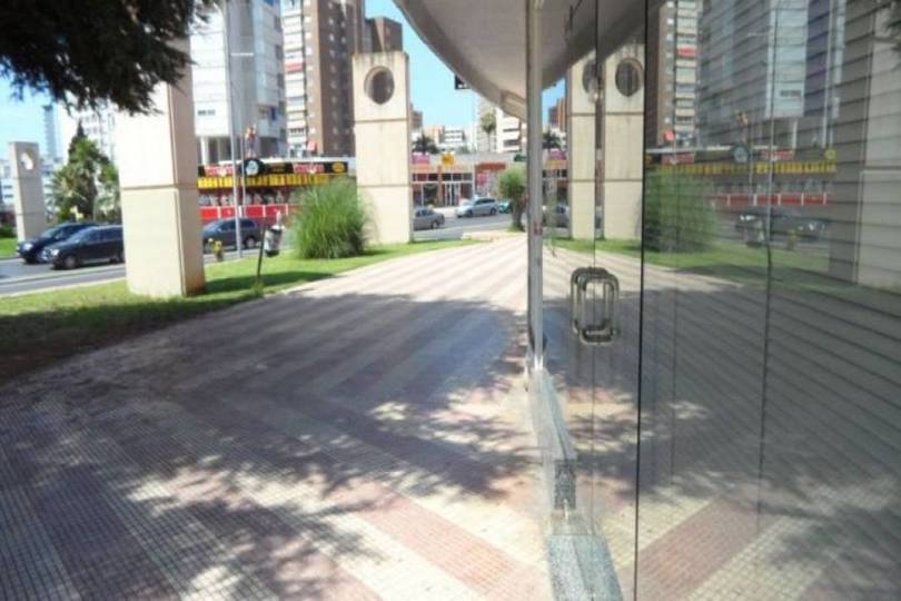 Benidorm,Alicante,España,Local comercial,16019