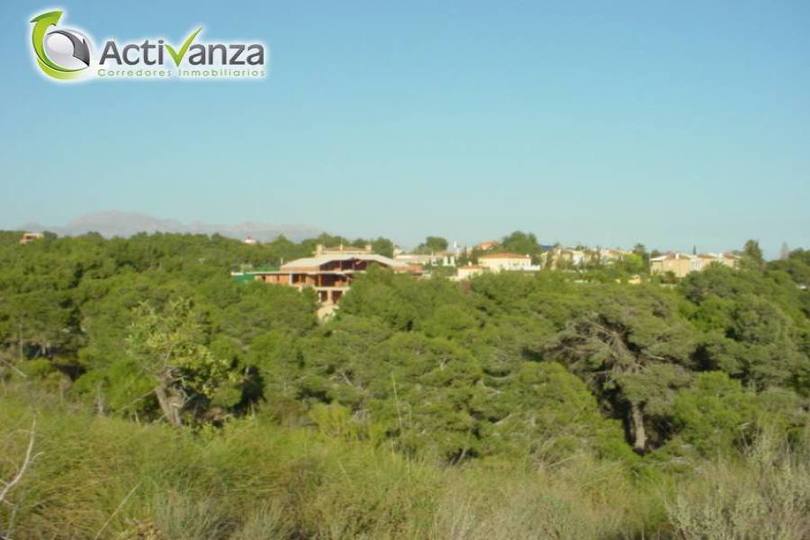 Benidorm,Alicante,España,4 Bedrooms Bedrooms,3 BathroomsBathrooms,Casas,16173