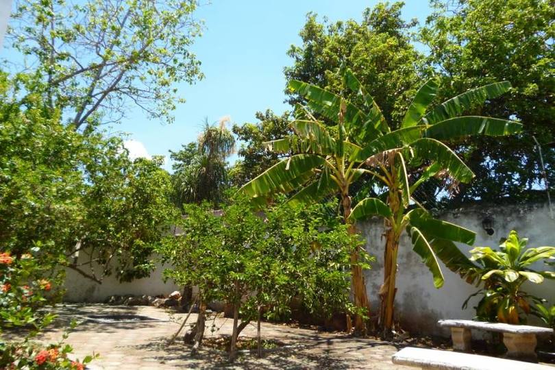 Mérida,Yucatán,México,3 Habitaciones Habitaciones,3 BañosBaños,Casas,27 Col. Mexico,2372