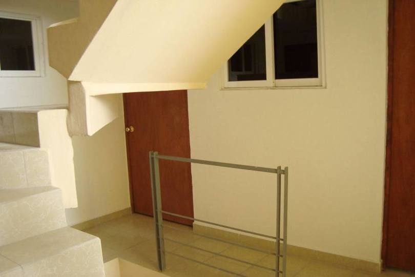 Toluca,México,México,1 Dormitorio Habitaciones,1 BañoBaños,Apartamentos,2383