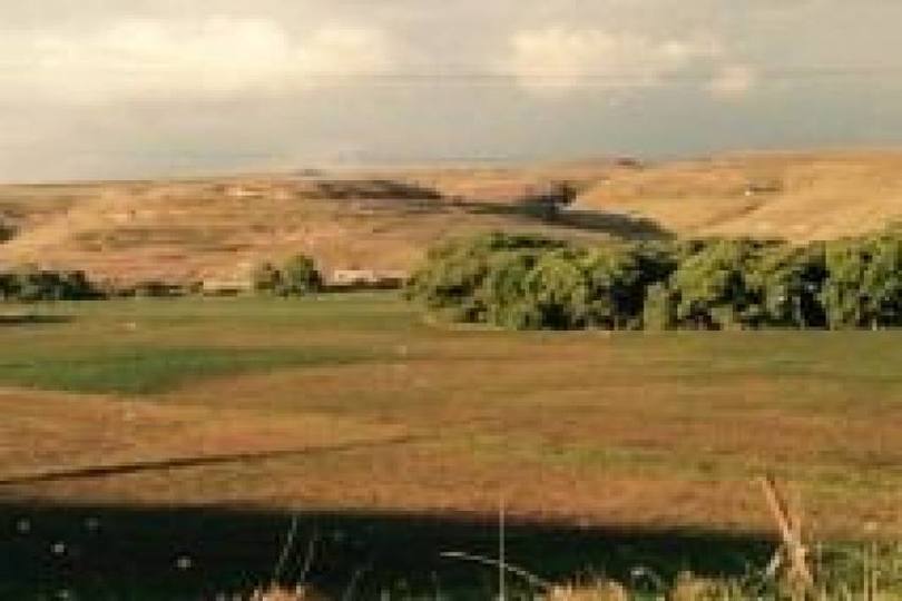 Almoloya de Juarez,Estado de Mexico,México,Fincas-Villas,2391