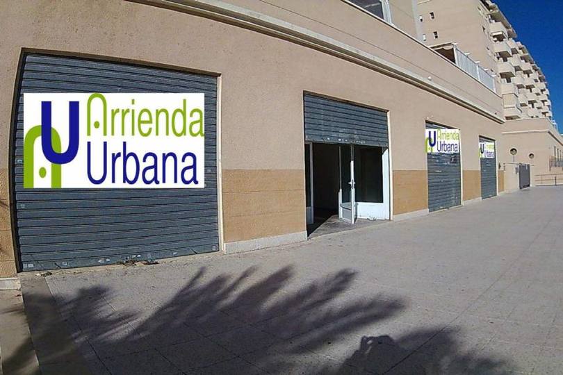 Elche,Alicante,España,Local comercial,16480