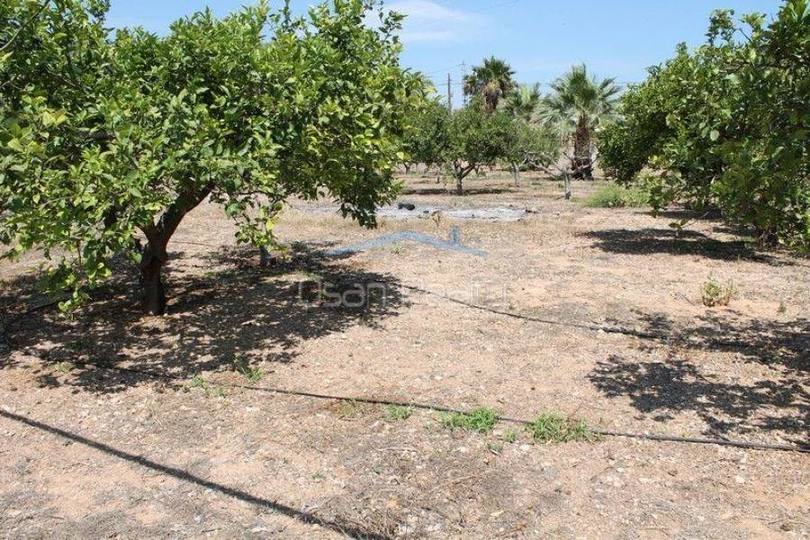 Dénia,Alicante,España,5 Bedrooms Bedrooms,2 BathroomsBathrooms,Casas,16599