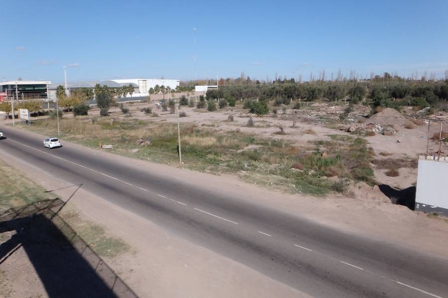 Rodeo de la Cruz,Mendoza,Lotes,25 de mayo,1137
