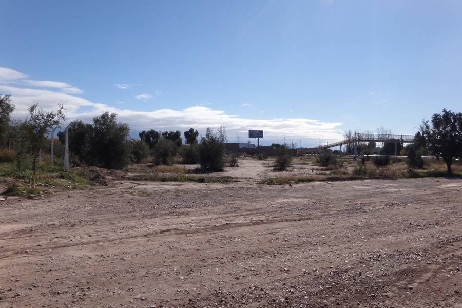 Rodeo de la Cruz,Mendoza,Lotes,25 de mayo,1137