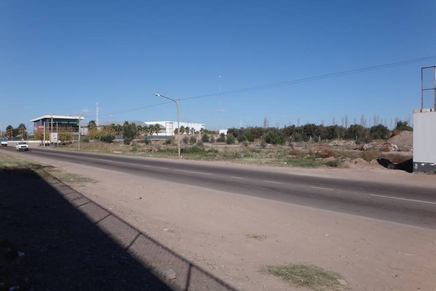 Rodeo de la Cruz,Mendoza,Lotes,25 de mayo,1137