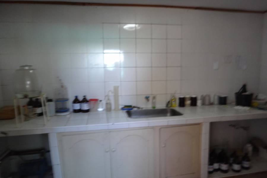 Palmira,Mendoza,Galpones,Fundo Palmira,Callejón Barbera,1138