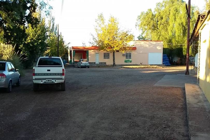 Palmira,Mendoza,Galpones,Fundo Palmira,Callejón Barbera,1138