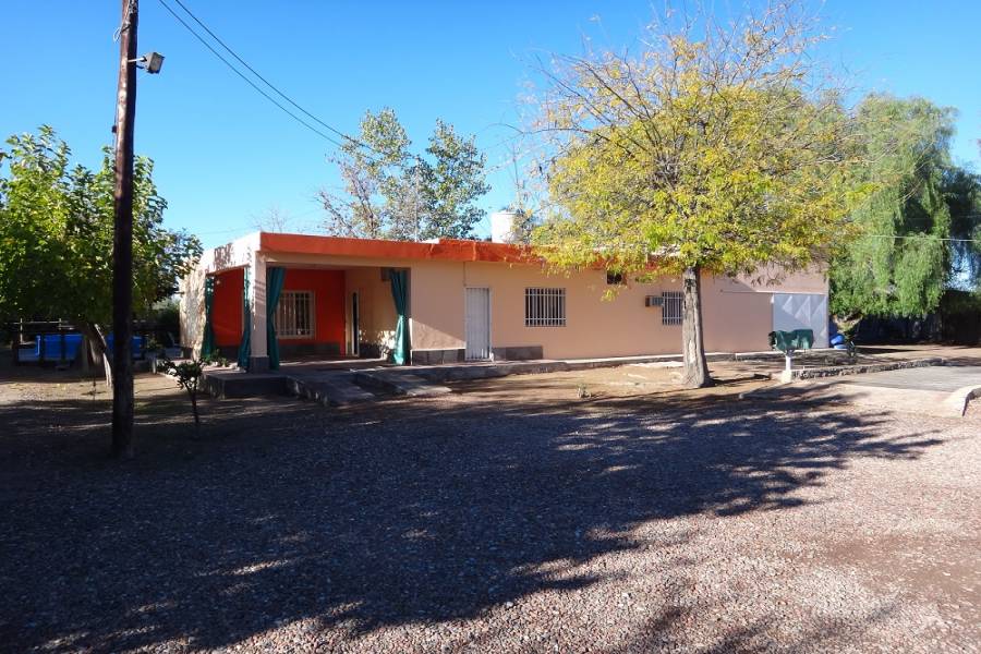 Palmira,Mendoza,Galpones,Fundo Palmira,Callejón Barbera,1138