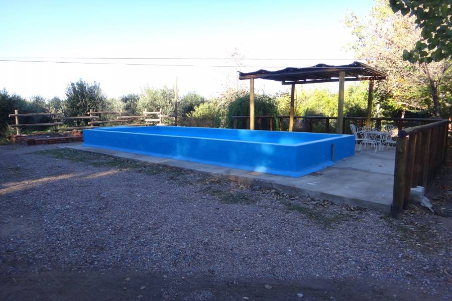 Palmira,Mendoza,Galpones,Fundo Palmira,Callejón Barbera,1138