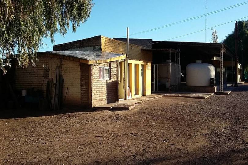 Palmira,Mendoza,Galpones,Fundo Palmira,Callejón Barbera,1138