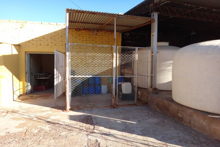 Palmira,Mendoza,Galpones,Fundo Palmira,Callejón Barbera,1138