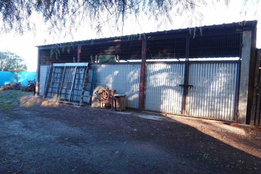 Palmira,Mendoza,Galpones,Fundo Palmira,Callejón Barbera,1138