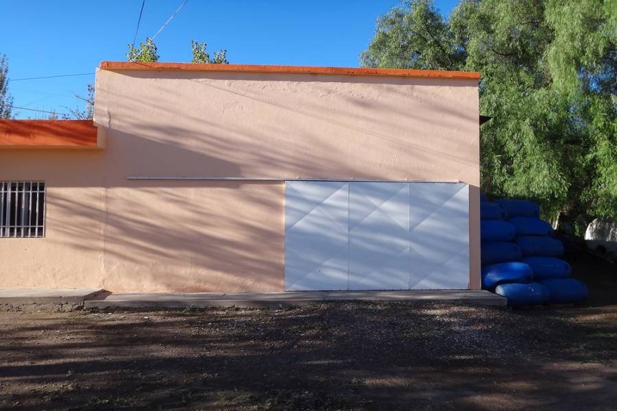 Palmira,Mendoza,Galpones,Fundo Palmira,Callejón Barbera,1138