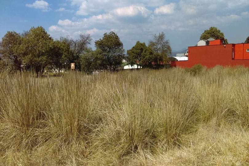 Lerma,Estado de Mexico,México,Casas,2429
