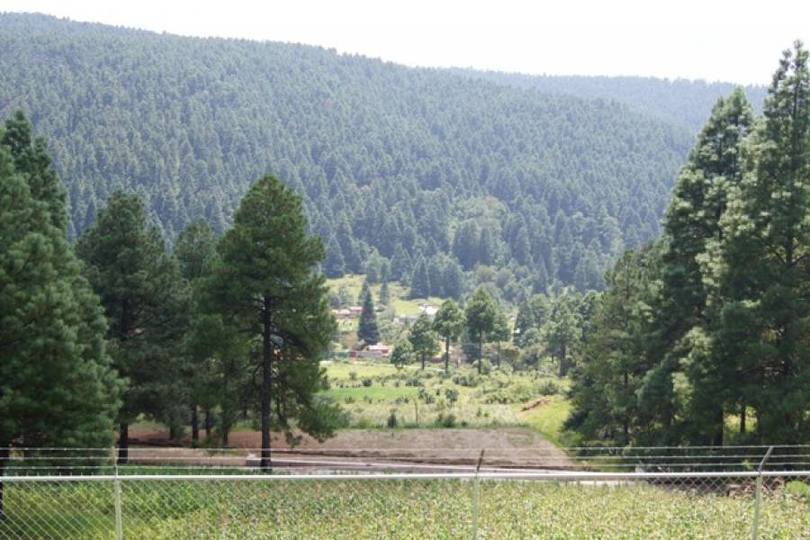 Lerma,Estado de Mexico,México,1 Dormitorio Habitaciones,1 BañoBaños,Casas,2444