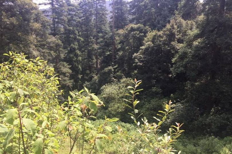 Lerma,Estado de Mexico,México,Lotes-Terrenos,2457