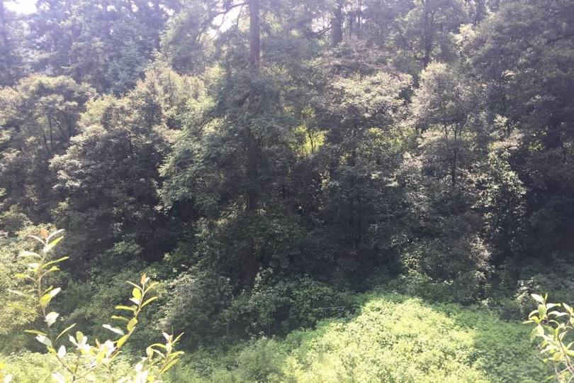 Lerma,Estado de Mexico,México,Lotes-Terrenos,2457