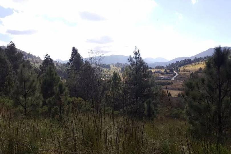 Lerma,Estado de Mexico,México,Lotes-Terrenos,2458