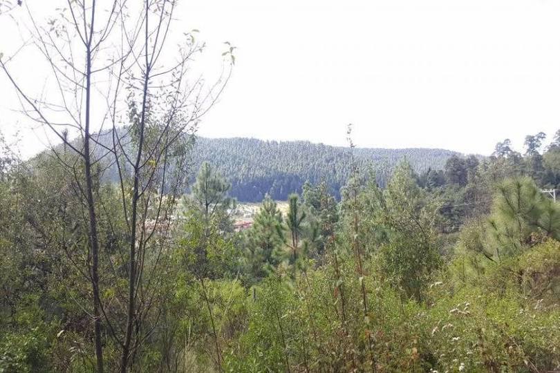 Lerma,Estado de Mexico,México,Lotes-Terrenos,2458