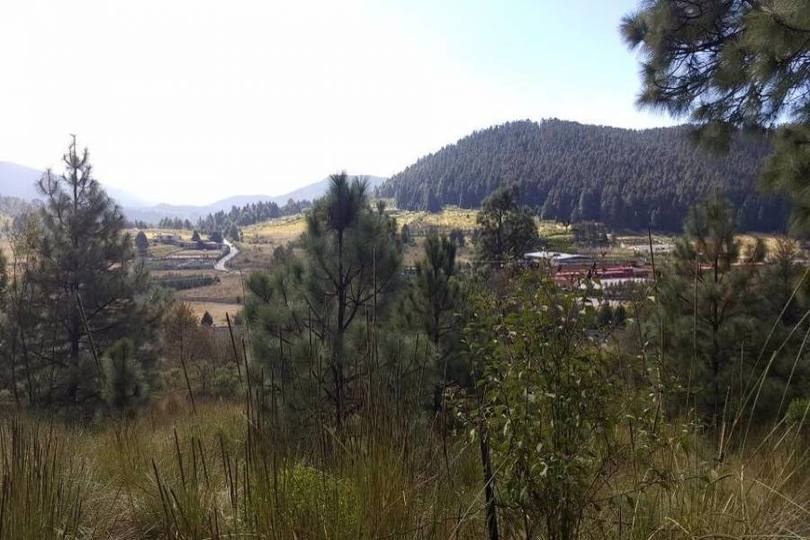 Lerma,Estado de Mexico,México,Lotes-Terrenos,2458