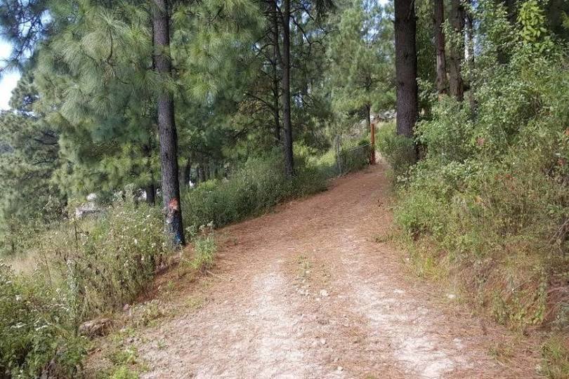 Lerma,Estado de Mexico,México,Lotes-Terrenos,2458