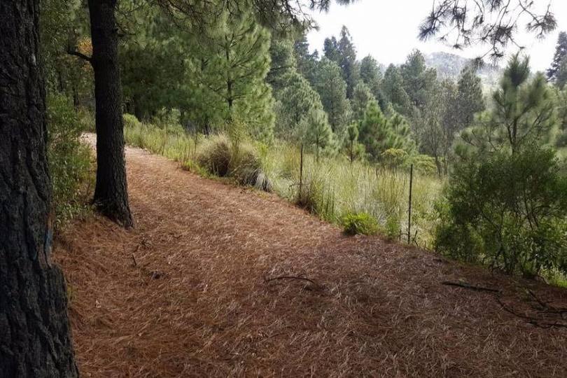 Lerma,Estado de Mexico,México,Lotes-Terrenos,2458