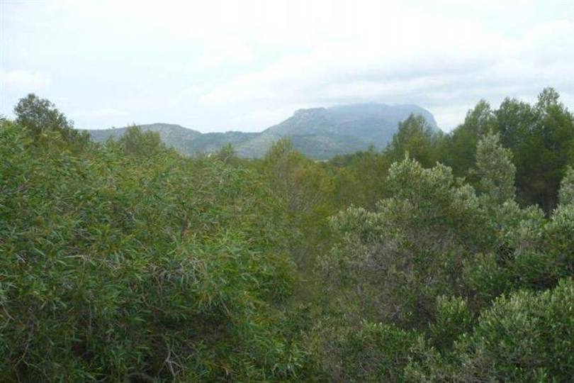 Pedreguer,Alicante,España,4 Bedrooms Bedrooms,3 BathroomsBathrooms,Chalets,17194