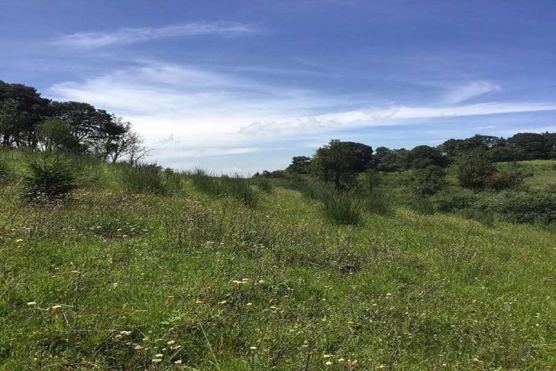 Lerma,Estado de Mexico,México,Lotes-Terrenos,2466