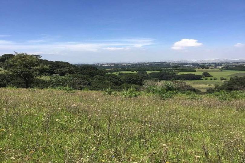 Lerma,Estado de Mexico,México,Lotes-Terrenos,2466