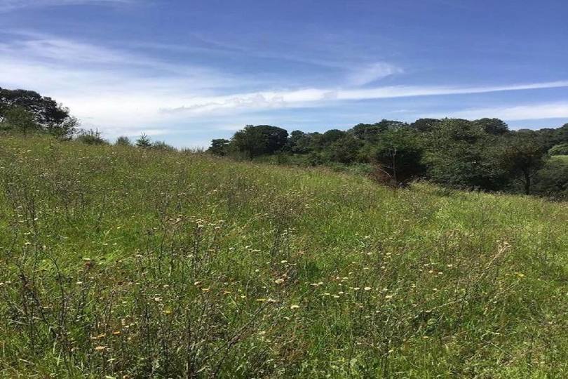 Lerma,Estado de Mexico,México,Lotes-Terrenos,2466