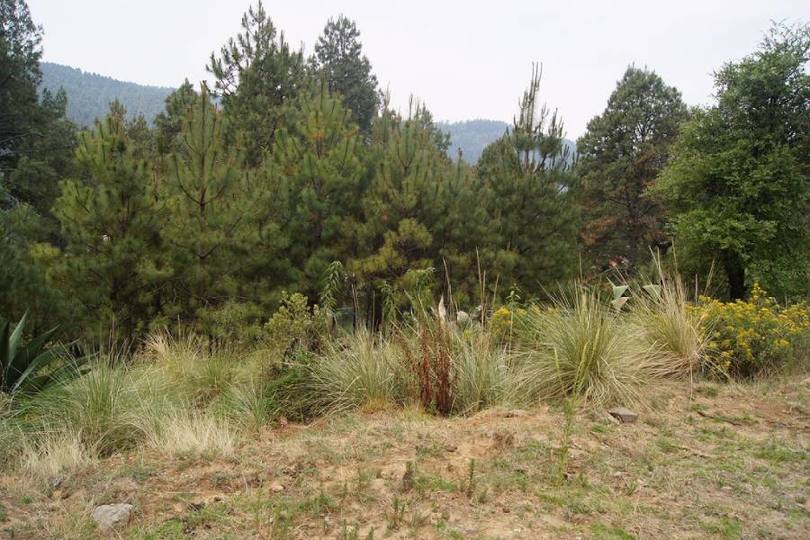 Lerma,Estado de Mexico,México,Lotes-Terrenos,2467