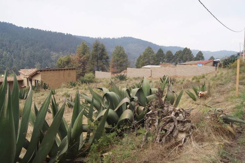Lerma,Estado de Mexico,México,Lotes-Terrenos,2468