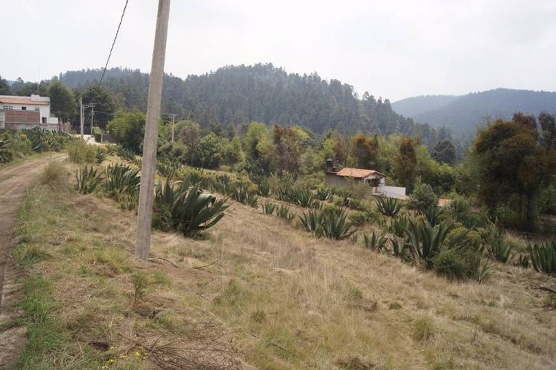 Lerma,Estado de Mexico,México,Lotes-Terrenos,2468