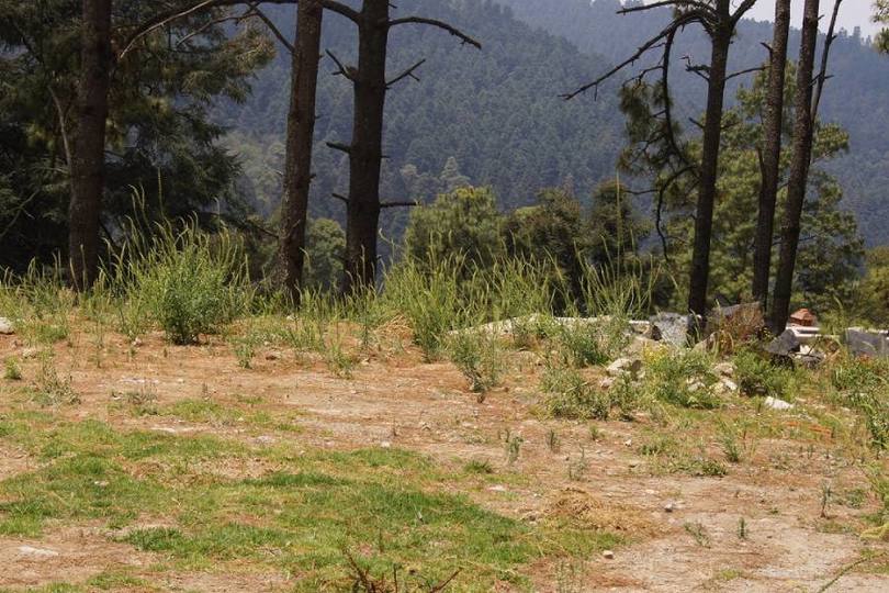 Lerma,Estado de Mexico,México,Lotes-Terrenos,2471