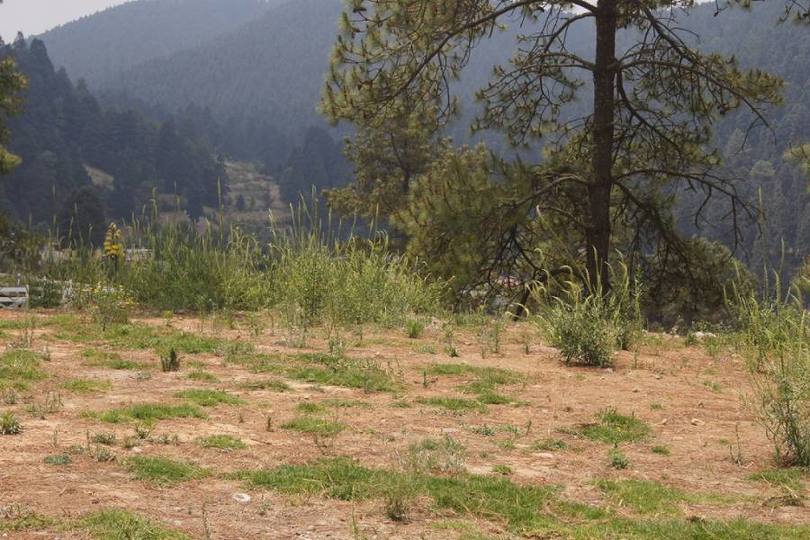 Lerma,Estado de Mexico,México,Lotes-Terrenos,2471